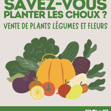 Vente de plants de légumes au profit de la coopérative scolaire