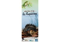Exposition LPO « Entre terre et eau... les amphibiens » pour mieux connaître la vie, les régimes alimentaires et les nombreuses menaces qui pèsent sur les amphibiens : crapauds, grenouilles, tritons et autres salamandres. A