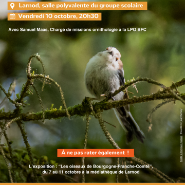 Conférence "Oiseaux de Bourgogne Franche-Comté"