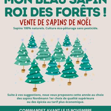 Commande de sapins de Noël